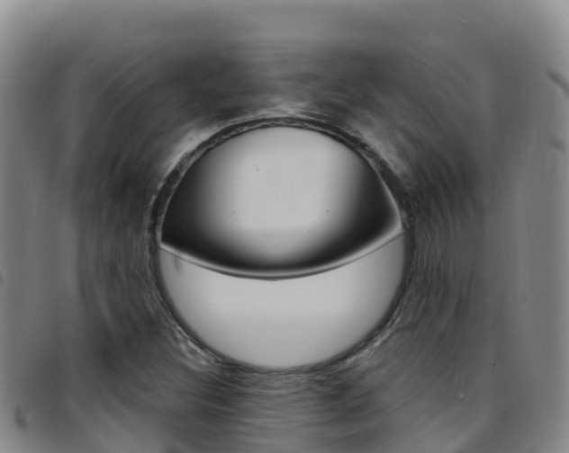 X0000097891308200803140956