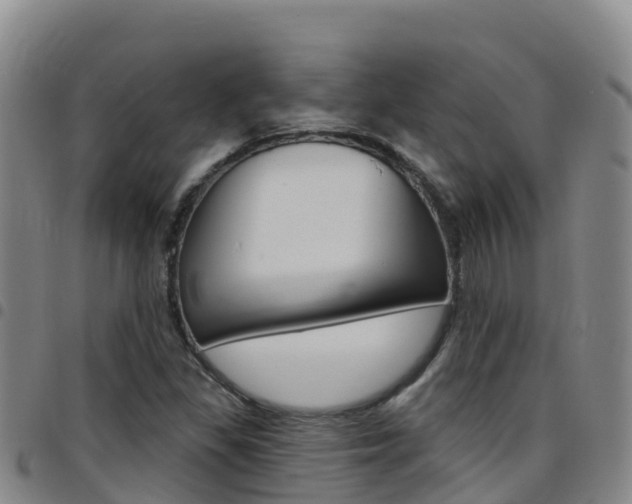 X0000097891309200803140956
