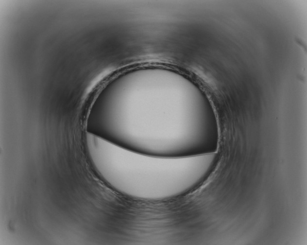 X0000097891310200803140956