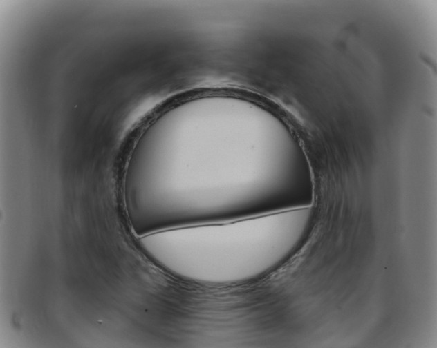 X0000097891311200803140956