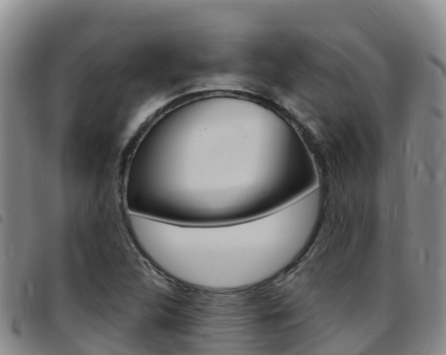 X0000097891312200803140956