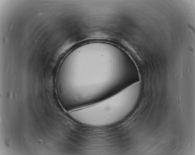X0000097891315200803140956