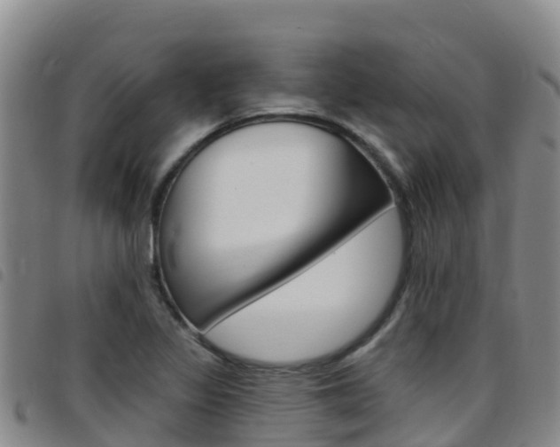X0000097891317200803140956