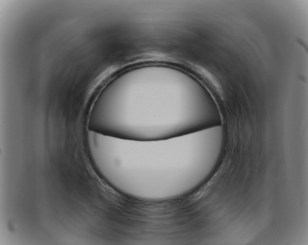 X0000097891318200803140956