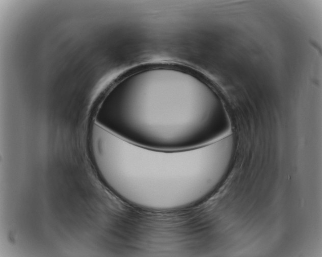 X0000097891319200803140956
