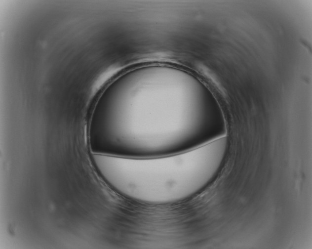 X0000097891320200803140956