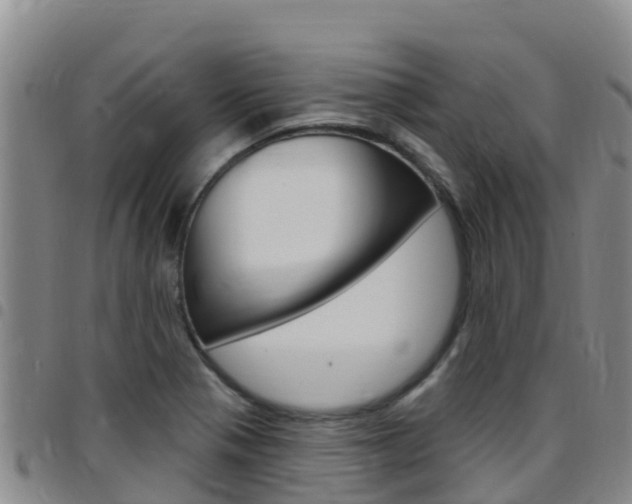 X0000097891321200803140956