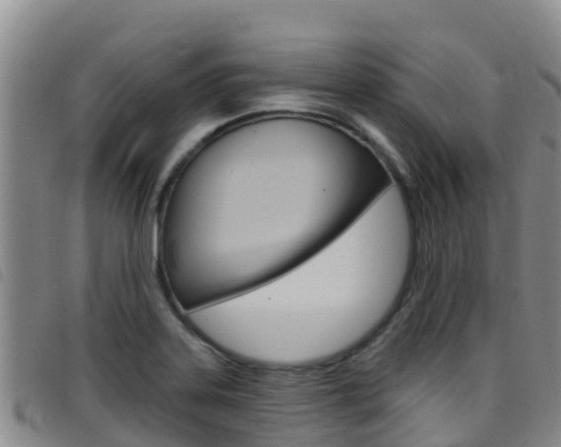 X0000097891323200803140956