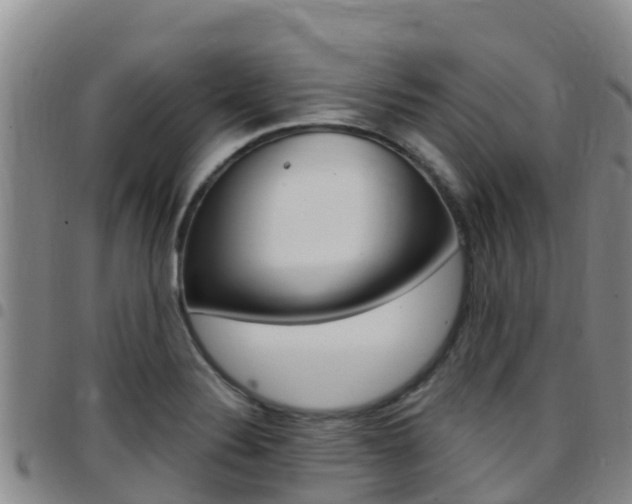 X0000097891324200803140956