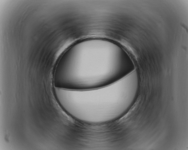 X0000097891325200803140956