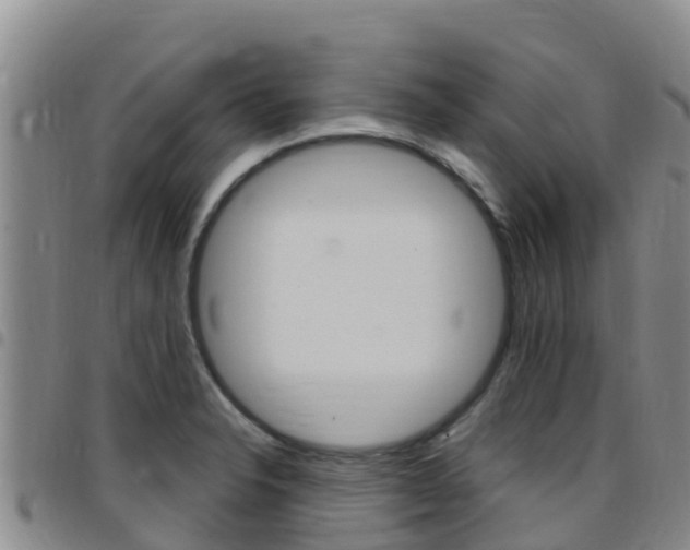 X0000097891326200803140956