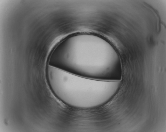 X0000097891327200803140956