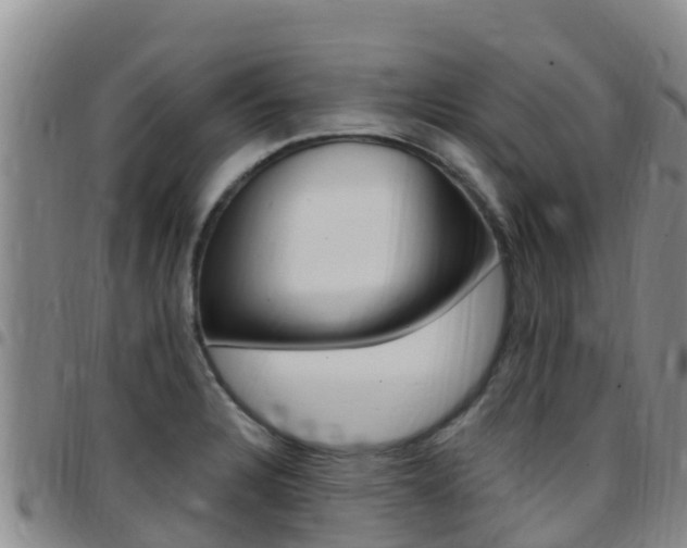 X0000097891328200803140956