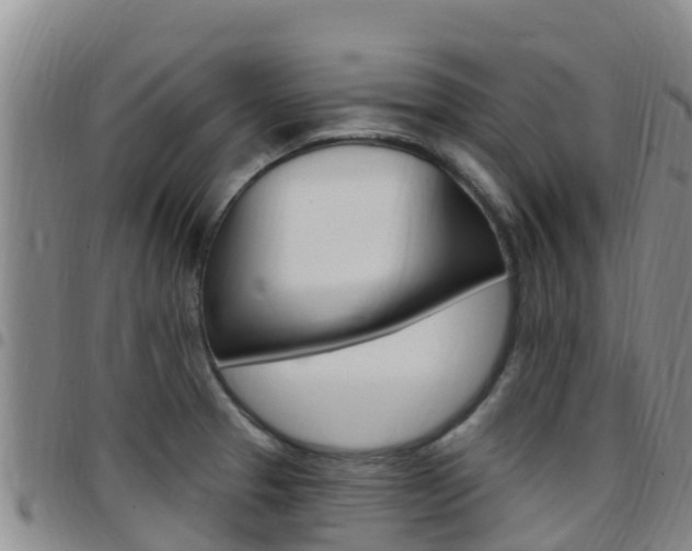 X0000097891329200803140956