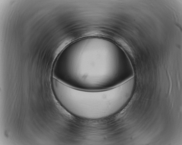 X0000097891330200803140956