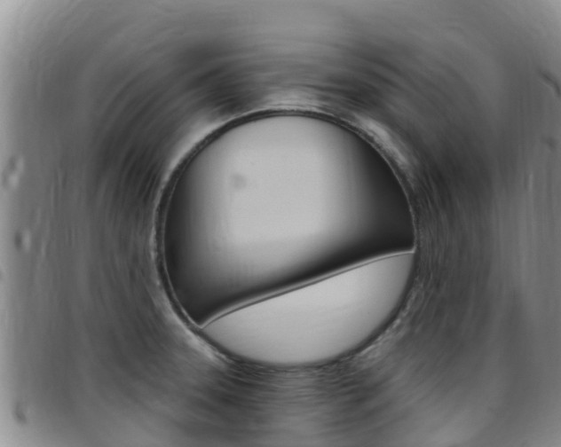 X0000097891331200803140956