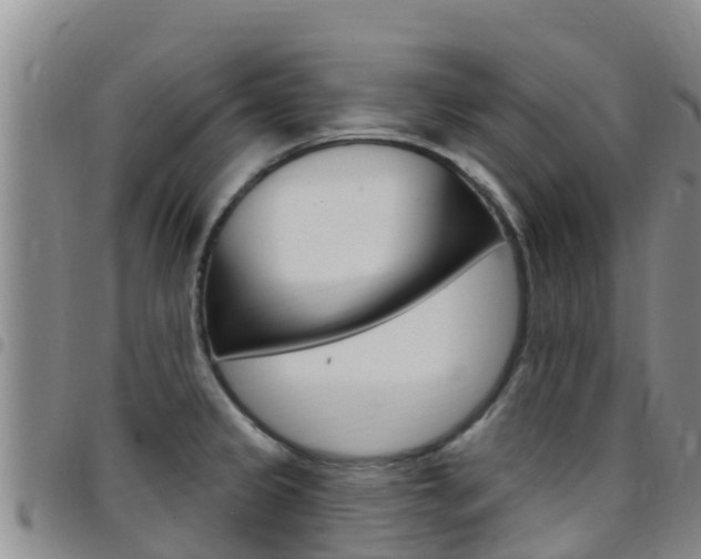 X0000097891333200803140956