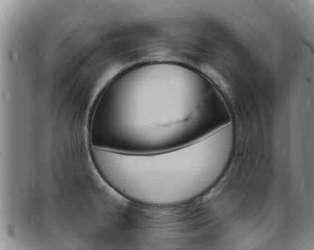 X0000097891334200803140956