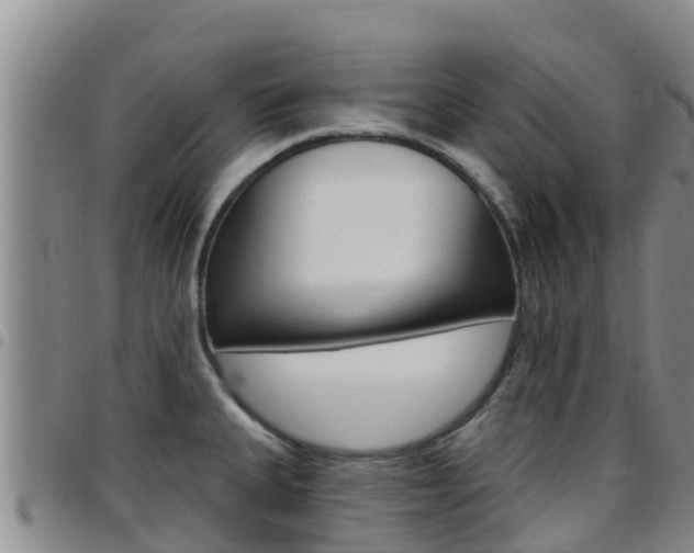 X0000097891335200803140956