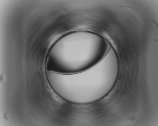 X0000097891336200803140956