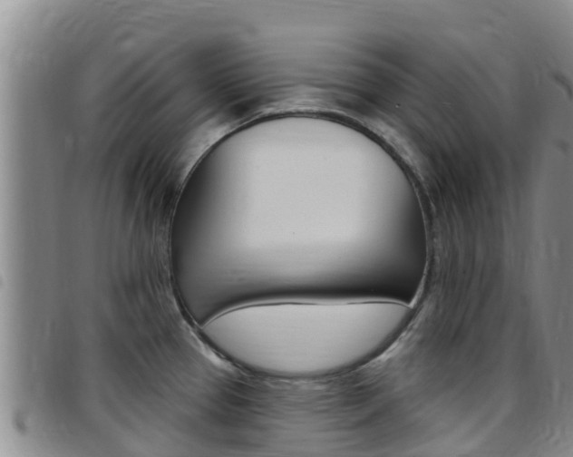 X0000097891337200803140956