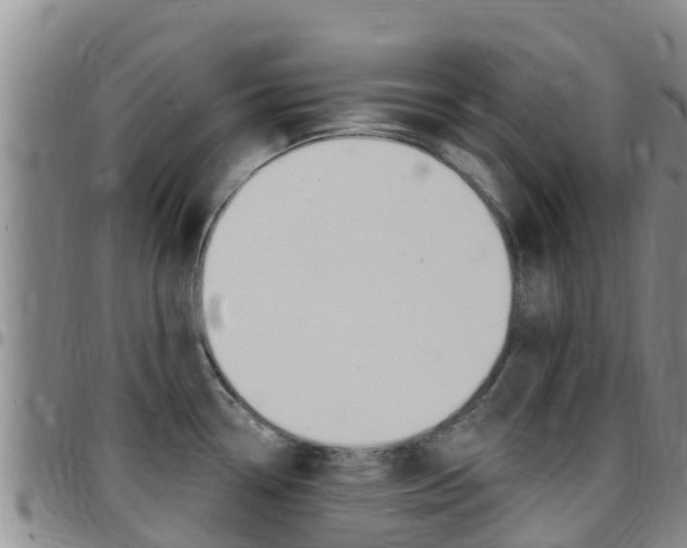 X0000097891338200803140956