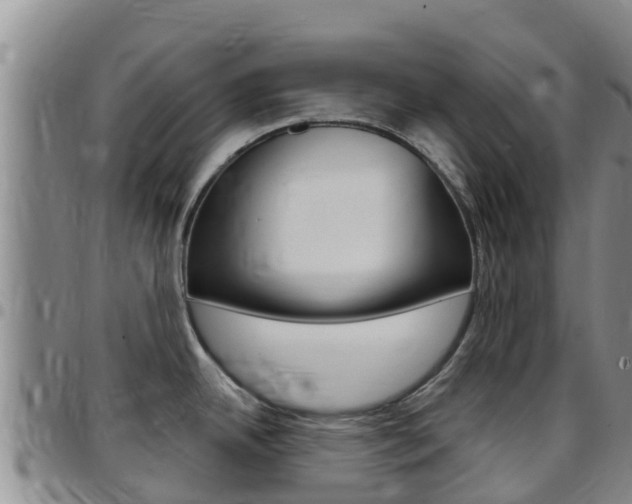 X0000097891342200803140956