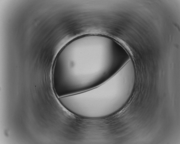 X0000097891343200803140956