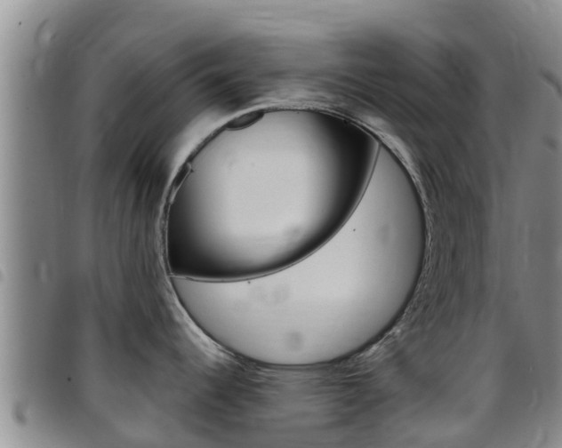 X0000097891344200803140956