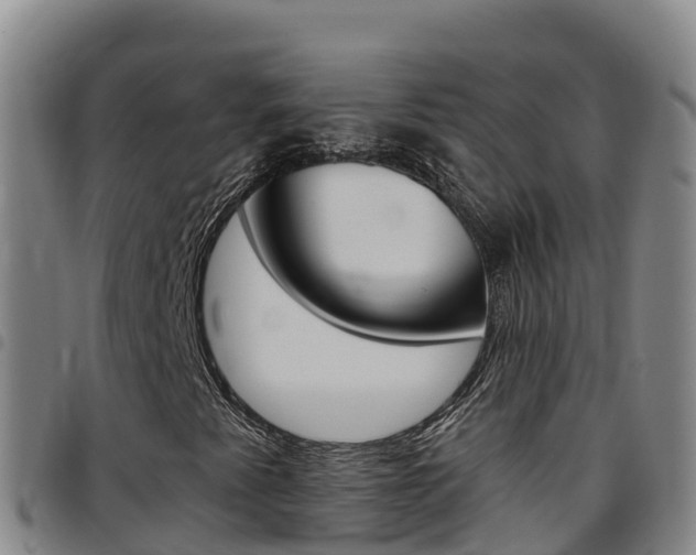 X0000097891345200803140956