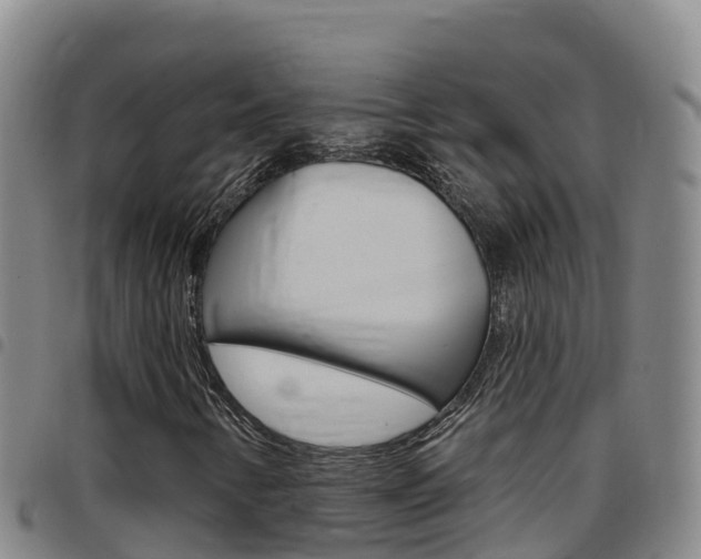 X0000097891346200803140956