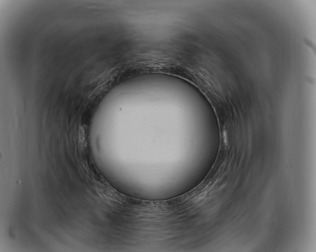 X0000097891347200803140956