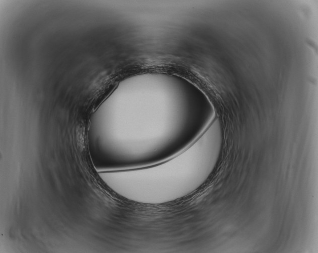X0000097891348200803140956