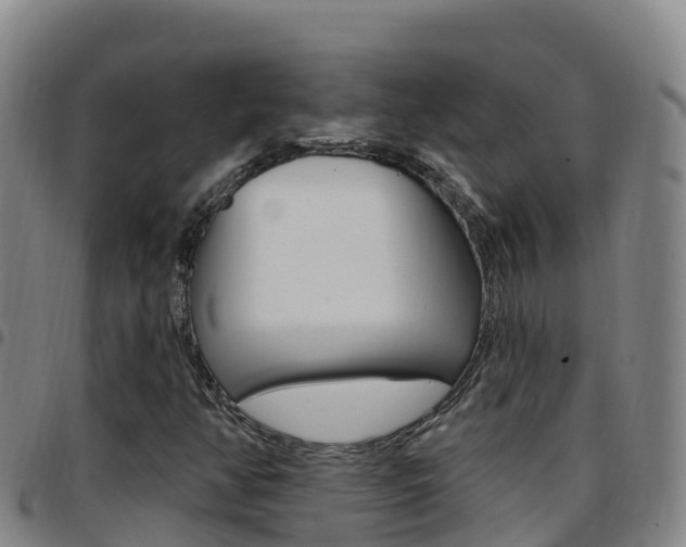 X0000097891350200803140955
