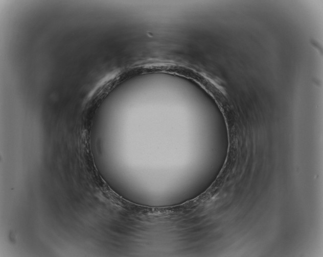 X0000097891351200803140955