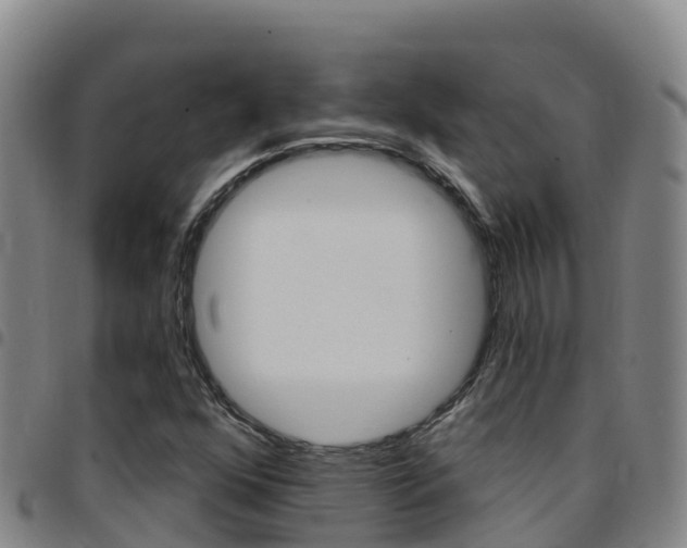 X0000097891352200803140955