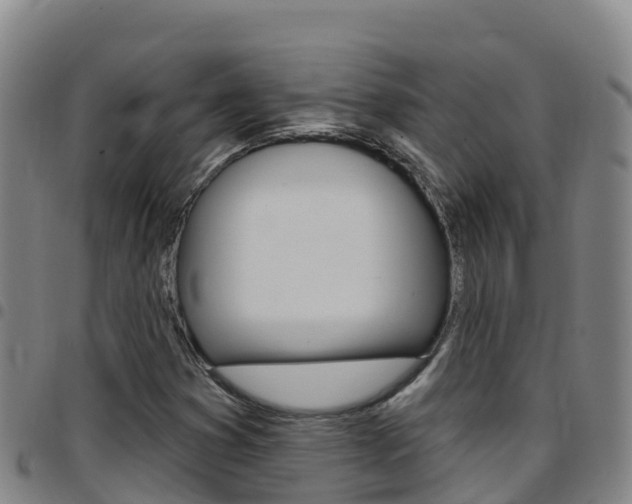 X0000097891353200803140955