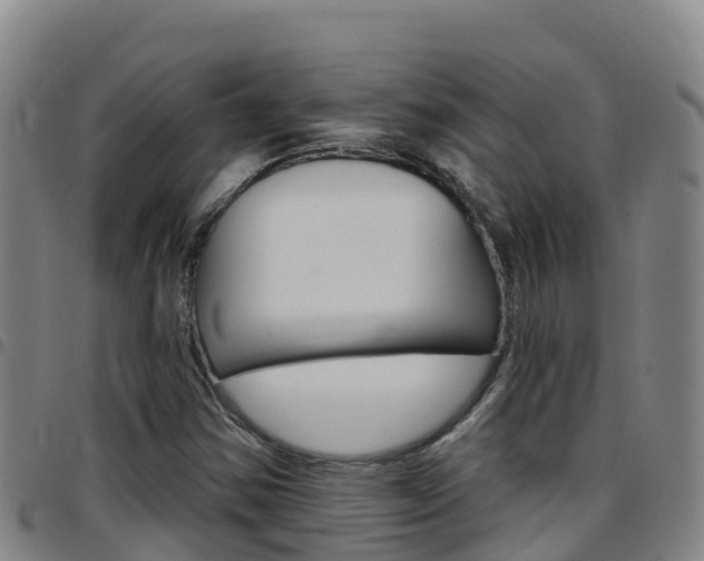 X0000097891354200803140955