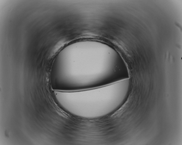 X0000097891355200803140955
