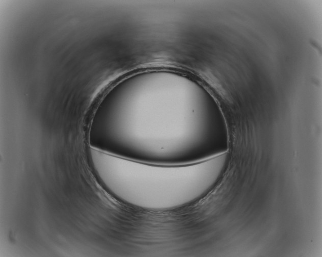 X0000097891356200803140955