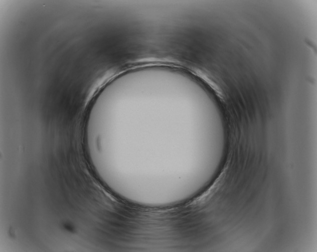 X0000097891357200803140955