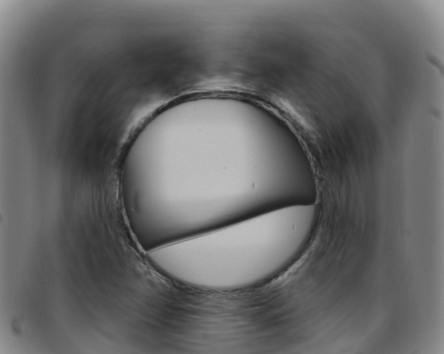 X0000097891358200803140955