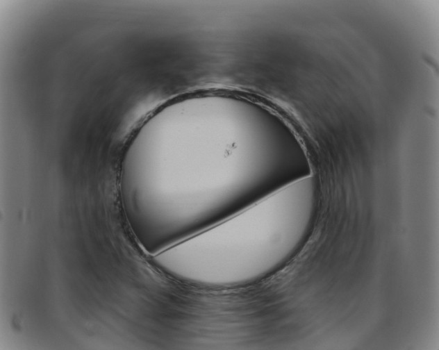 X0000097891359200803140955