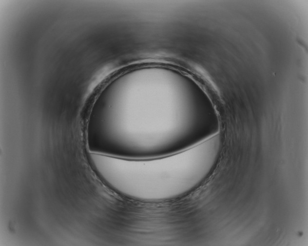 X0000097891360200803140955