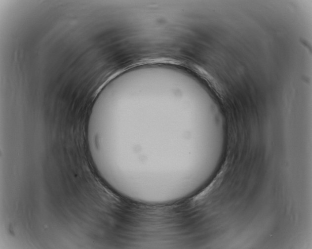 X0000097891361200803140955