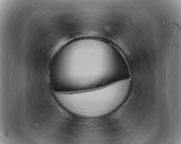 X0000097891363200803140955