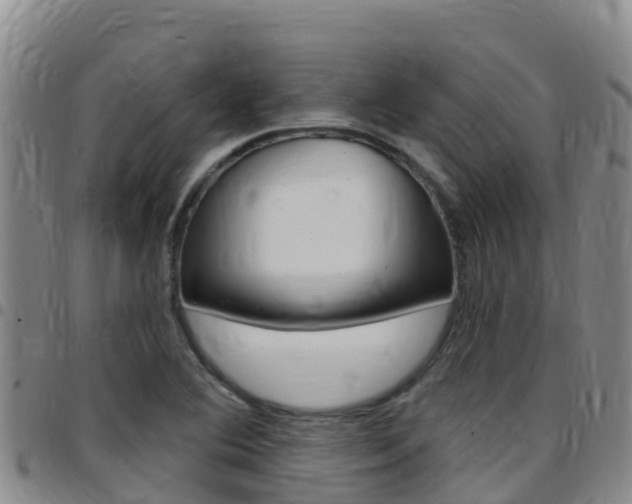 X0000097891364200803140955