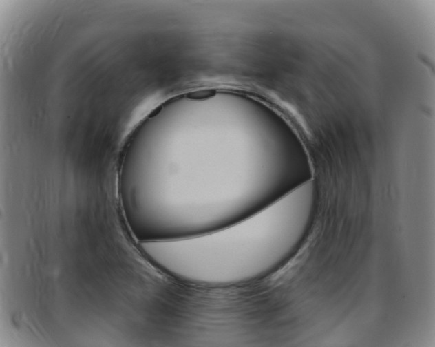 X0000097891365200803140955