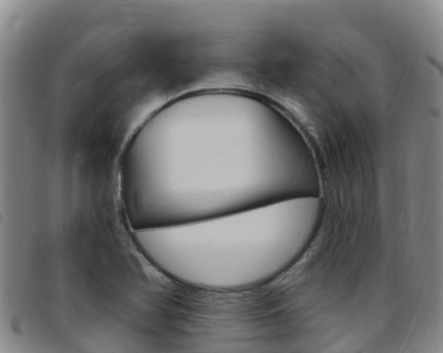 X0000097891366200803140955