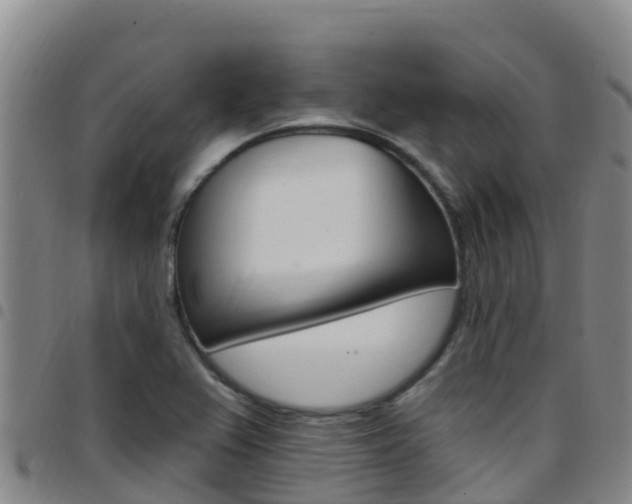 X0000097891367200803140955